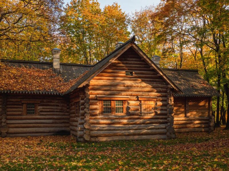 Ways To Enjoy the Fall Foliage in Blue Ridge, Georgia