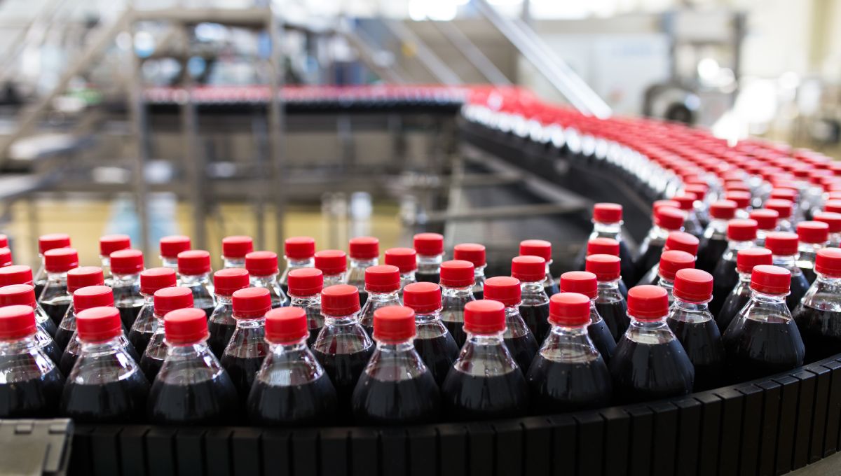 A conveyor belt full of bottles of soda in a bottling factory. The bottles have red caps and a dark brown soda inside.