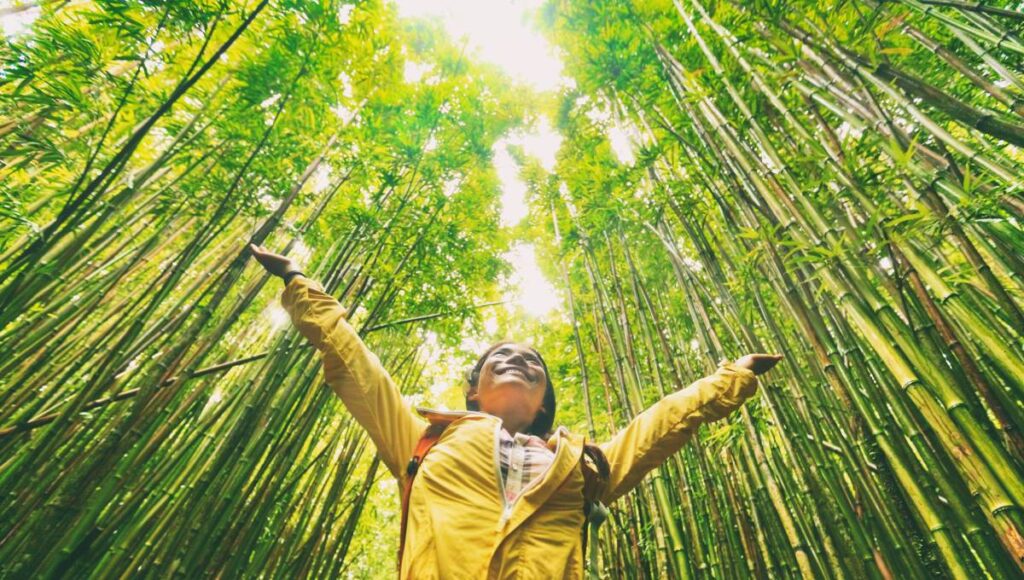 A tourist wearing a yellow jacket and a red backpack is standing outside surrounded by bamboo trees.