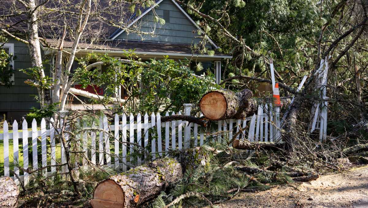 A home with heavy storm damage. There’s a fallen tree that’s been cut into smaller pieces on a white fence.