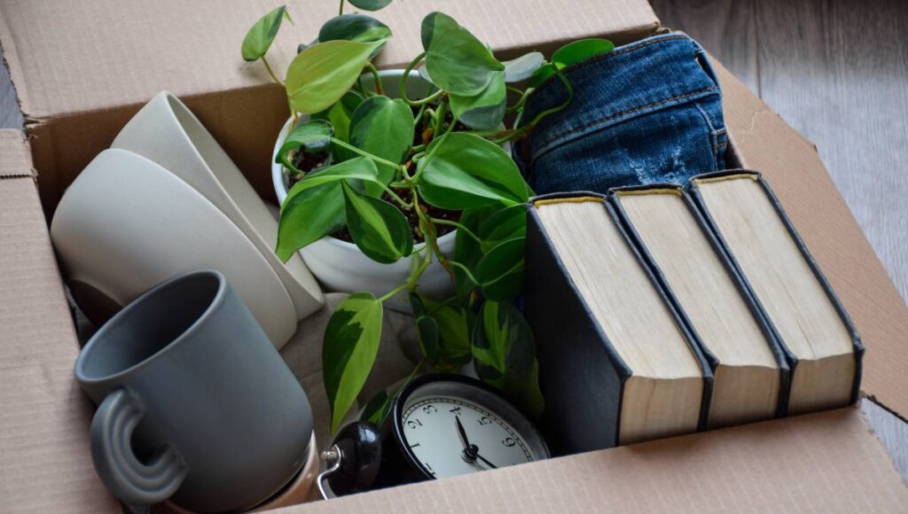 A cardboard box filled with various items. Among them are books, jeans, a clock, some kitchenware, and a potted plant.