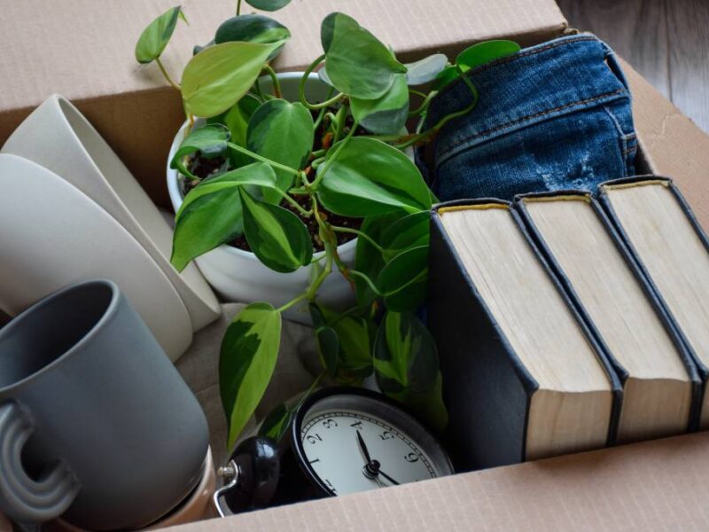 A cardboard box filled with various items. Among them are books, jeans, a clock, some kitchenware, and a potted plant.