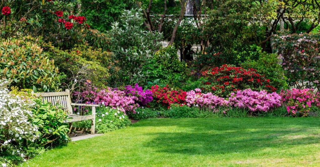 A backyard garden, up close, with various bushes and colorful flowers. A wooden bench sits amid the trees.